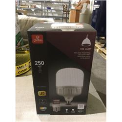 Globe 250 Watt LED Daylight 5000k HID Lamp
