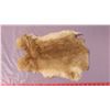 Image 4 : TWO BROWN RABBIT PELTS