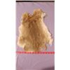 Image 5 : TWO BROWN RABBIT PELTS