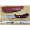 Image 1 : CASE BRAND HUNTER SKINNER KNIFE 2.75" BLADE