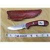 Image 2 : CASE BRAND HUNTER SKINNER KNIFE 2.75" BLADE