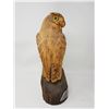 Image 2 : HAWK CARVING - 15" TALL