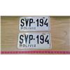 Image 1 : TWO BOLIVIA LICENSE PLATES