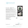 Image 5 : 14KT White Gold 6.63 ctw Emerald and Diamond Ring