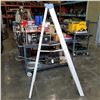 Image 2 : 6FT LITE ALUMINUM LADDER