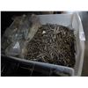 Image 2 : CLEAR BIN OF VARIOUS TYPES OF NAILS AND BRACKETS