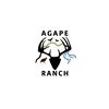 Image 1 : Agape Ranch- Dove Hunt