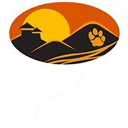 Legadema Safaris- African Plainsgame Hunt