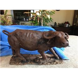 Water Buffalo Carving