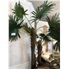 Image 1 : EVERGREEN PALM TREE APPROX. 8' TALL.