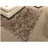 Image 1 : SHAG AREA RUG.  APPROX. 6' X 8'