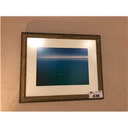 FRAMED PHOTOGRAPH - WHALES