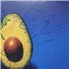 Image 4 : Pearl Jam Signed Pearl Jam (a.k.a The Avocado Album) Album Cover
