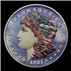 Image 2 : 1921-p Morgan Dollar $1 Grades Hand Painted