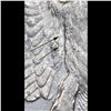 Image 10 : 1878/1-p 7tf Vam 168 Morgan Dollar $1 Grades Choice AU/BU Slider