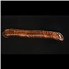 Image 4 : Proof 2000-s Lincoln cent 1c roll, 50 pieces (fc)
