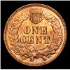 Image 3 : 1905 Indian Cent 1c Grades Select+ Unc RB