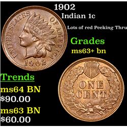 1902 Indian Cent 1c Grades Select+ Unc BN