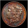 Image 2 : ***Auction Highlight*** 1894-p Morgan Dollar $1 Graded Select Unc By USCG (fc)