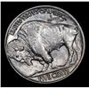 Image 3 : 1919-p Buffalo Nickel 5c Grades Select+ Unc