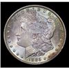 Image 2 : 1885-o Morgan Dollar $1 Grades Choice+ Unc