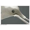 Image 3 : An American Silver Ladle and Berry Spoon An American Silver Ladle And Berry Spoon