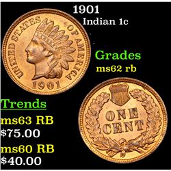 1901 Indian Cent 1c Grades Select Unc RB