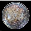 Image 3 : ***Auction Highlight*** 1879-o Rainbow Toned Morgan Dollar $1 Graded Choice Unc+ PL By USCG (fc)