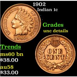 1902 Indian Cent 1c Grades Unc Details