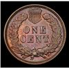 Image 3 : 1896 Indian Cent 1c Grades Select+ Unc BN