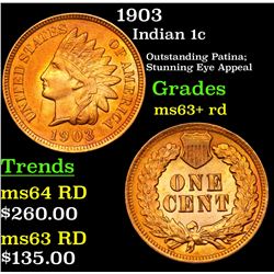 1903 Indian Cent 1c Grades Select+ Unc RD