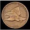 Image 2 : 1858 sl Flying Eagle Cent 1c Grades vf+