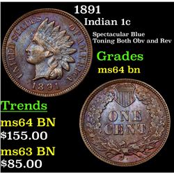 1891 Indian Cent 1c Grades Choice Unc BN
