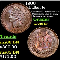1906 Indian Cent 1c Grades GEM+ Unc BN