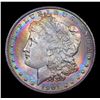 Image 2 : ***Auction Highlight*** 1901-o Rainbow Toned Morgan Dollar $1 Graded Choice+ Unc By USCG (fc)