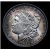 Image 2 : 1884-o Rainbow Toned Morgan Dollar $1 Grades Choice Unc