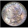 Image 2 : 1884-o Rainbow Toned Morgan Dollar $1 Grades Choice+ Unc