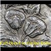 Image 11 : *Highlight Of Entire Auction* 1889-cc Vam 2 R-5 Morgan Dollar $1 Graded Select Unc+ DMPL By USCG fc