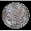 Image 2 : 1900-p Morgan Dollar $1 Grades Choice+ Unc