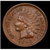 Image 2 : 1895 Indian Cent 1c Grades Choice+ Unc BN