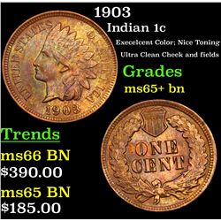 1903 Indian Cent 1c Grades GEM+ Unc BN