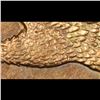 Image 7 : ***Auction Highlight*** 1858/1858 sl Flying Eagle Cent 1c Graded Choice+ Unc By USCG (fc)