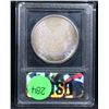 Image 5 : ***Auction Highlight*** 1887-p Rainbow Toned Morgan Dollar $1 Graded GEM++ Unc By USCG (fc)