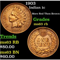 1903 Indian Cent 1c Grades Select Unc RB