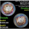 Image 1 : 1887/18-7-p Rainbow Toned Vam 11 Morgan Dollar $1 Grades Choice Unc