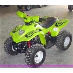 Two Stroke 2 APC 90cc 4 Wheeler APC NR