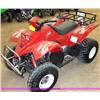 Image 1 : Baja Wilderness 250 red ATV  reverse