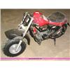 Image 1 : Mini Baja all terrain bike 5.5 hp knobb