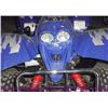 Image 2 : APC blue Edge 250 ATV 250cc water coole