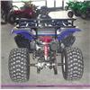 Image 3 : APC blue Edge 250 ATV 250cc water coole